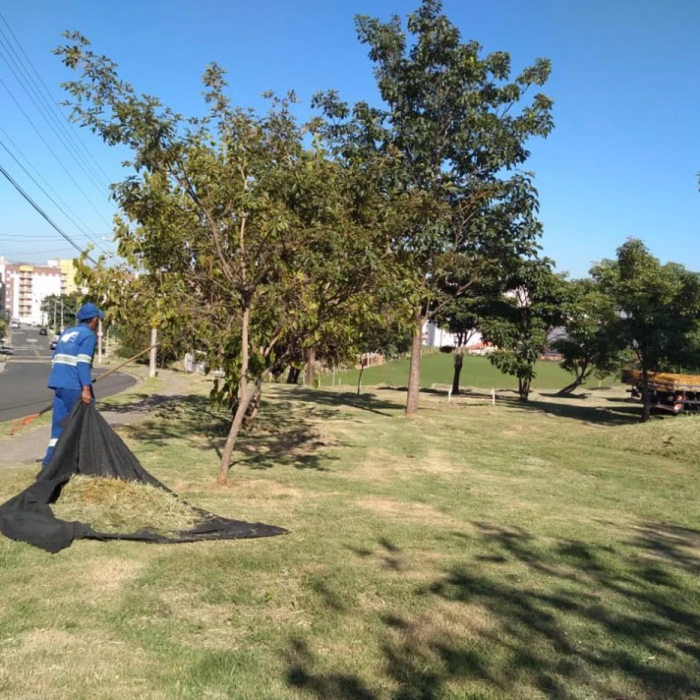 Prefeitura atua na manutenção de paisagismo e arborização em diferentes bairros de Sorocaba