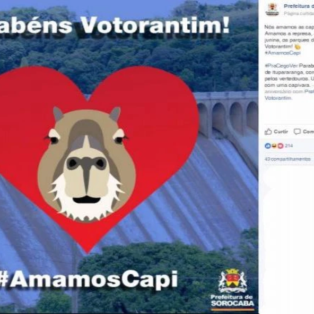 Prefeitura faz ilustração de capivara para homenagear Votorantim