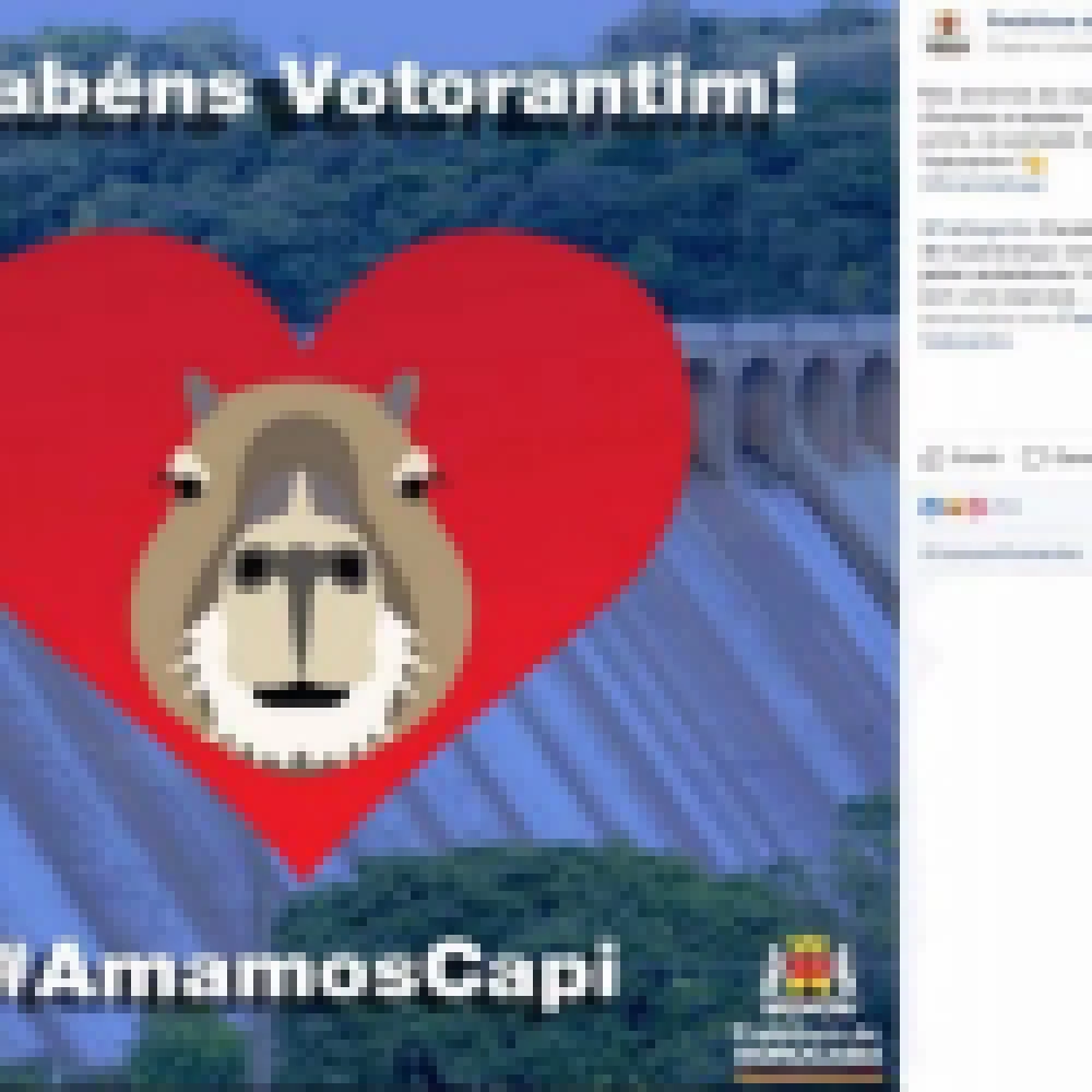 Prefeitura faz ilustração de capivara para homenagear Votorantim