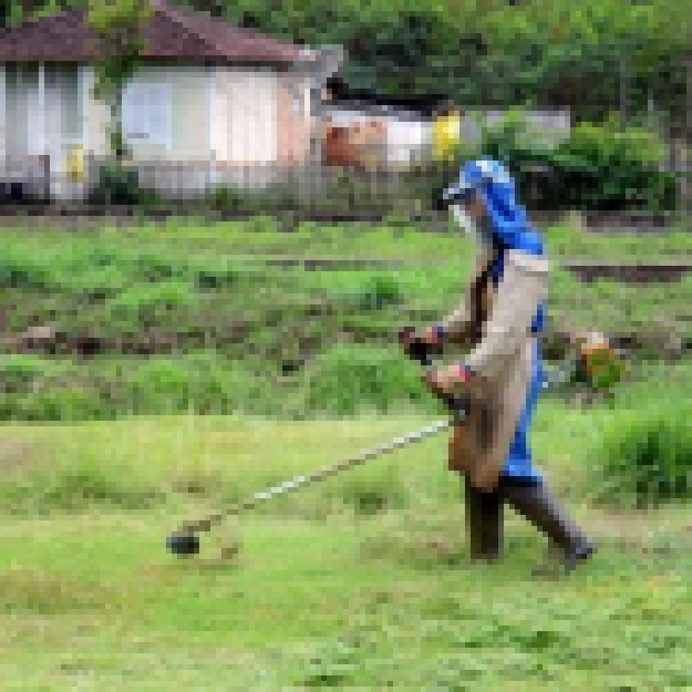Prefeitura faz roçagem e limpeza em 15 bairros