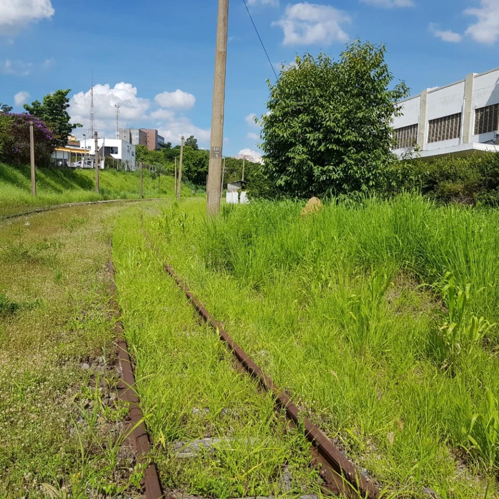 Prefeitura vai autuar concessionária por falta de manutenção e limpeza na linha férrea de Sorocaba