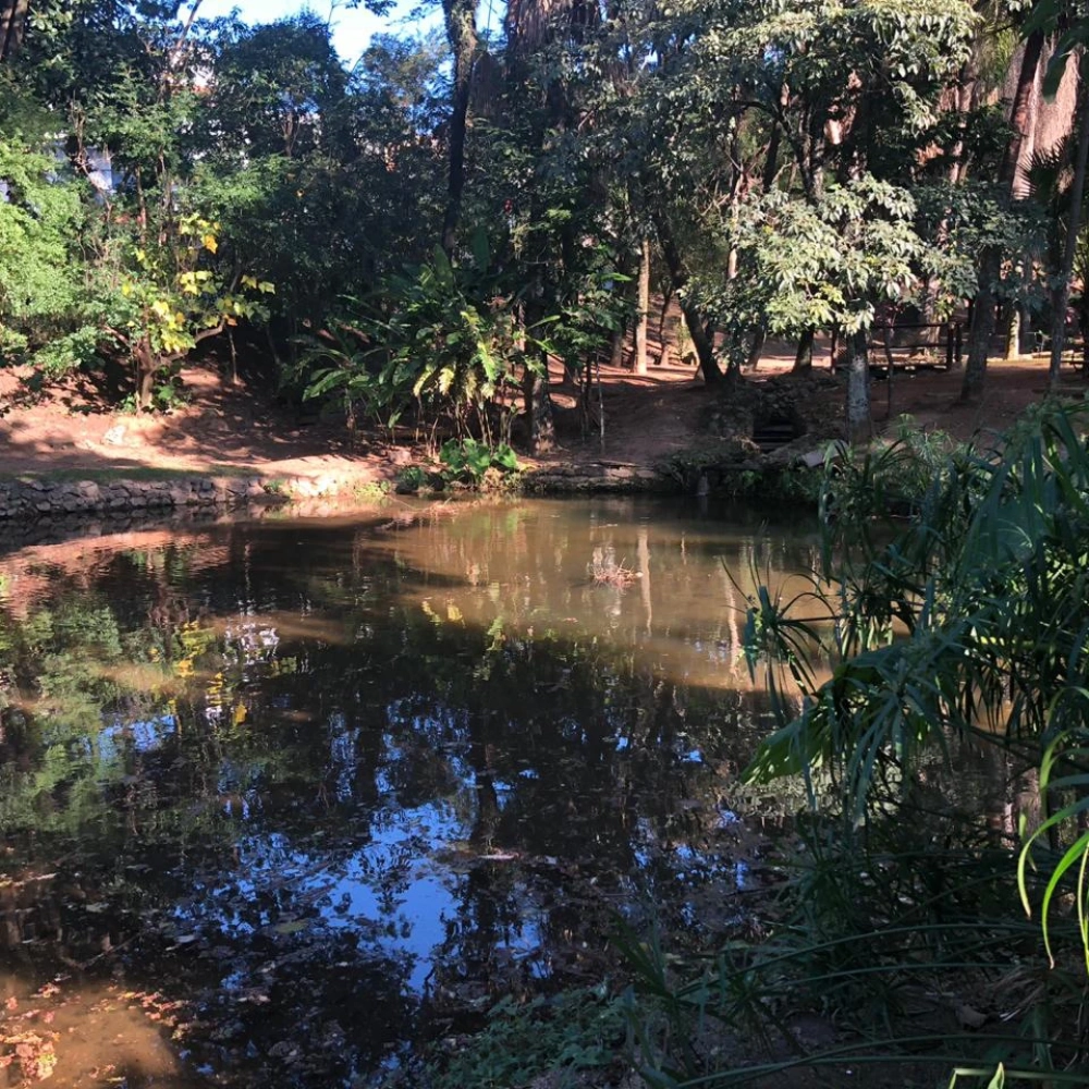 Projeto ‘Férias na Bica’ será oferecido no mês de julho