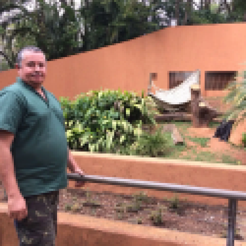 rabalho dos tratadores é essencial para garantir o bem-estar dos animais do zoo