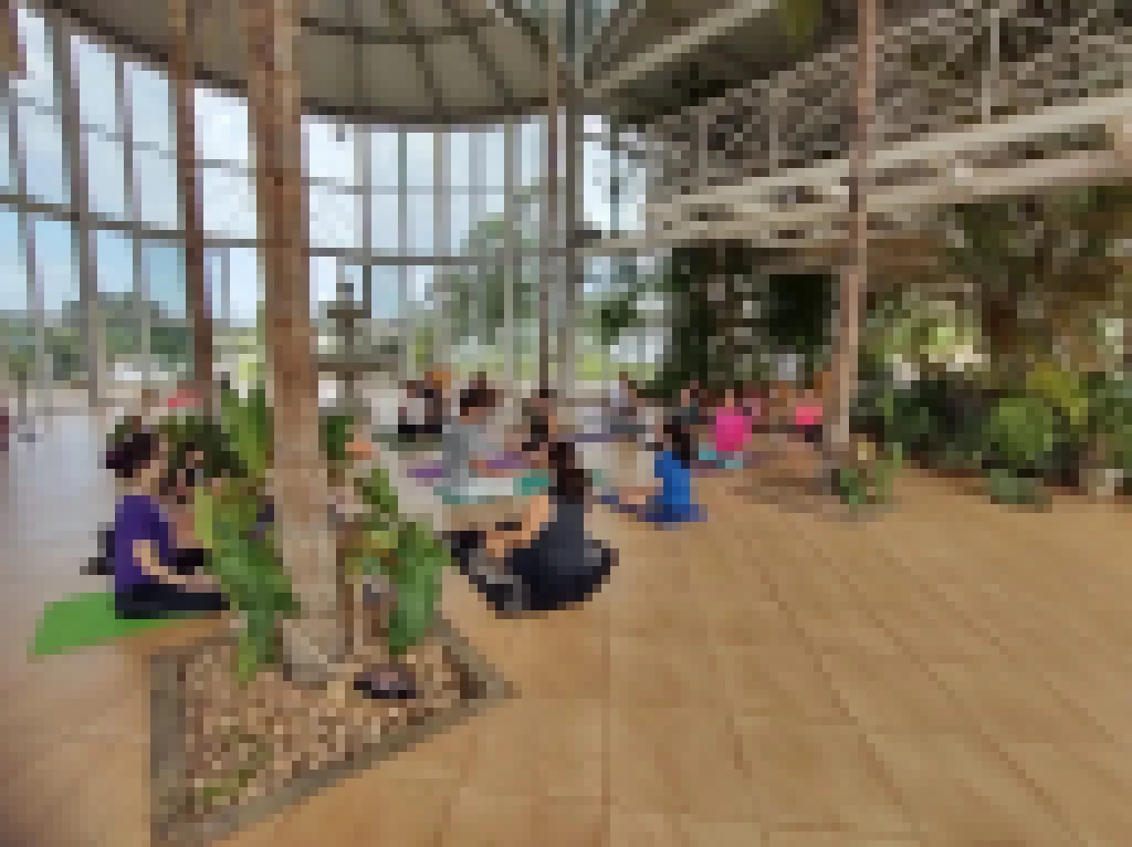 Aula gratuita de Yoga é realizada no Jardim Botânico de Sorocaba neste sábado (29)