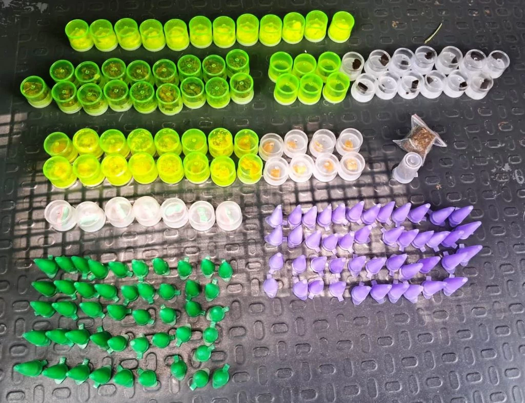 GCM apreende 172 porções de drogas durante patrulhamento no Jardim Nova Manchester