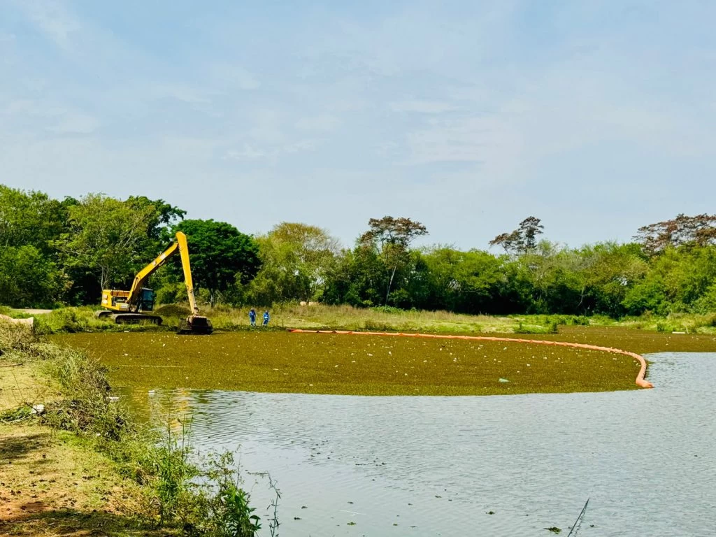 Saae/Sorocaba executa limpeza e remoção de plantas aquáticas em lago do Parque Vitória Régia