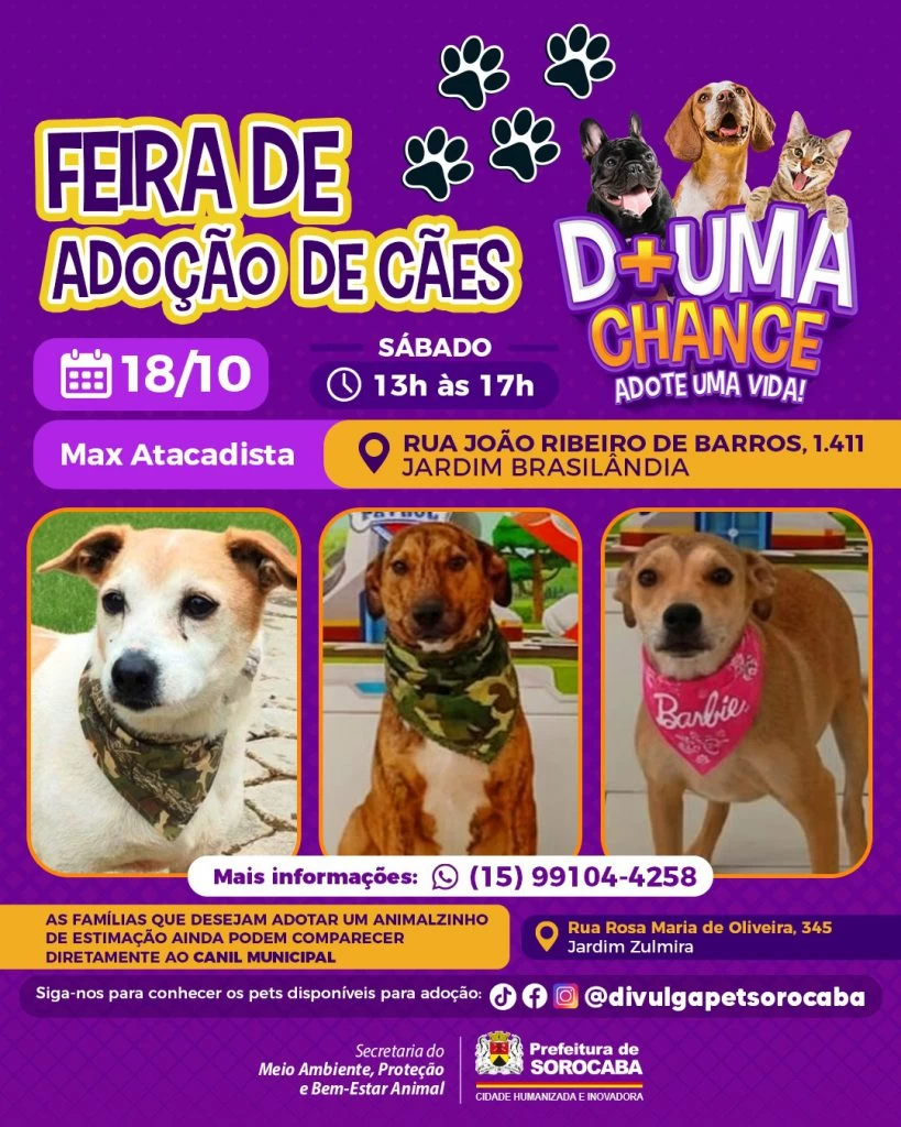 Prefeitura de Sorocaba promove dia de adoção de cães no Jardim Brasilândia neste sábado (18)