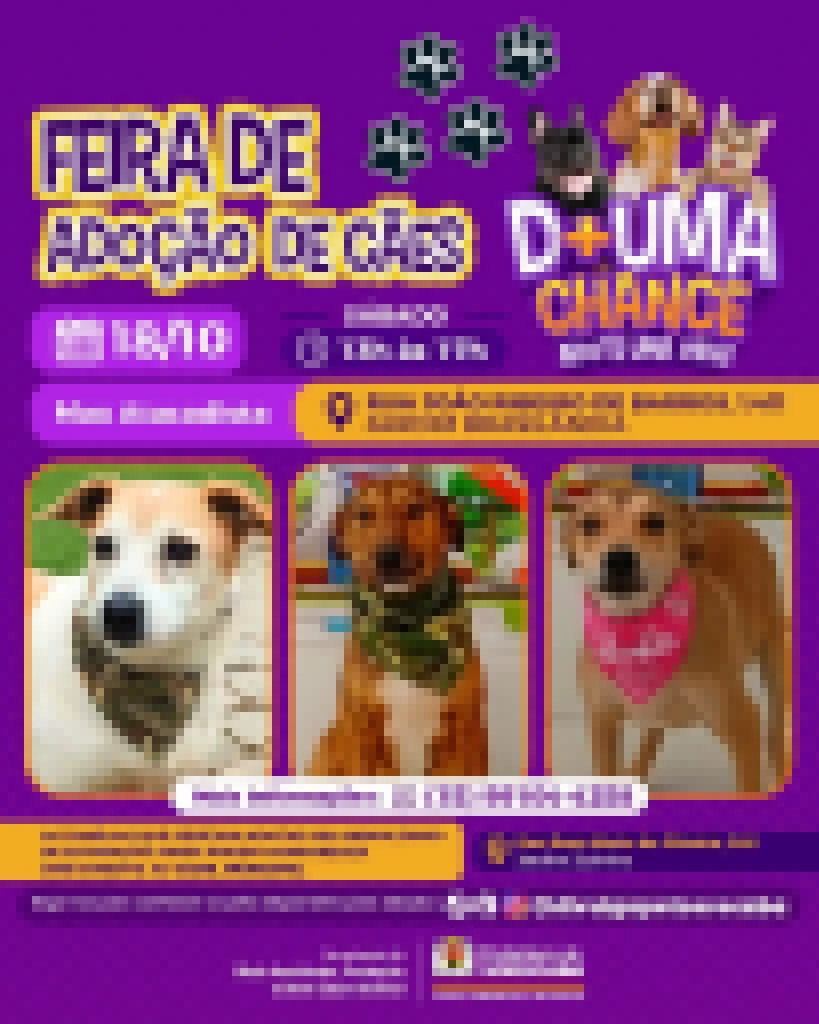 Prefeitura de Sorocaba promove dia de adoção de cães no Jardim Brasilândia neste sábado (18)