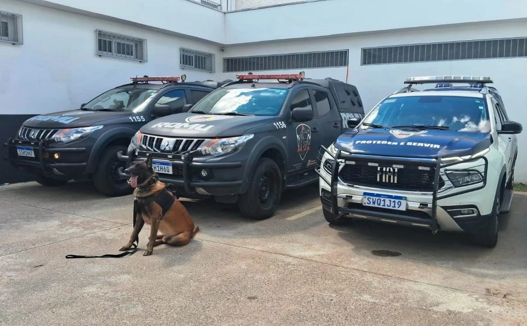 GCM recolhe 473 porções de drogas em duas ocorrências de tráfico
