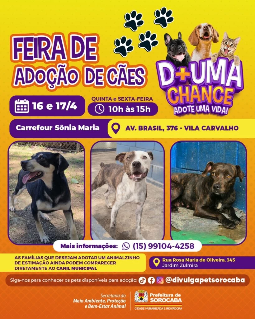 Feira de adoção de cães do Canil Municipal de Sorocaba é levada ao Carrefour Sônia Maria nesta quinta e sexta-feira (16 e 17)