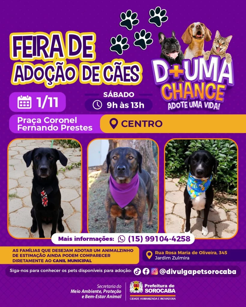 Feira de adoção de cães do Canil Municipal ocorrerá na Praça Coronel Fernando Prestes neste sábado (1)