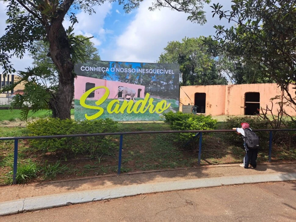 Elefante Sandro ganha homenagem no Zoológico de Sorocaba