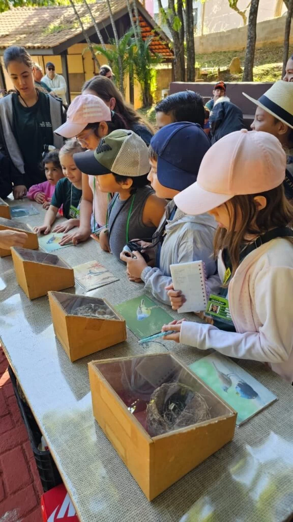 Encontro do Coaves Kids no Parque da Água Vermelha destacou curiosidades sobre as aves e seus ninhos