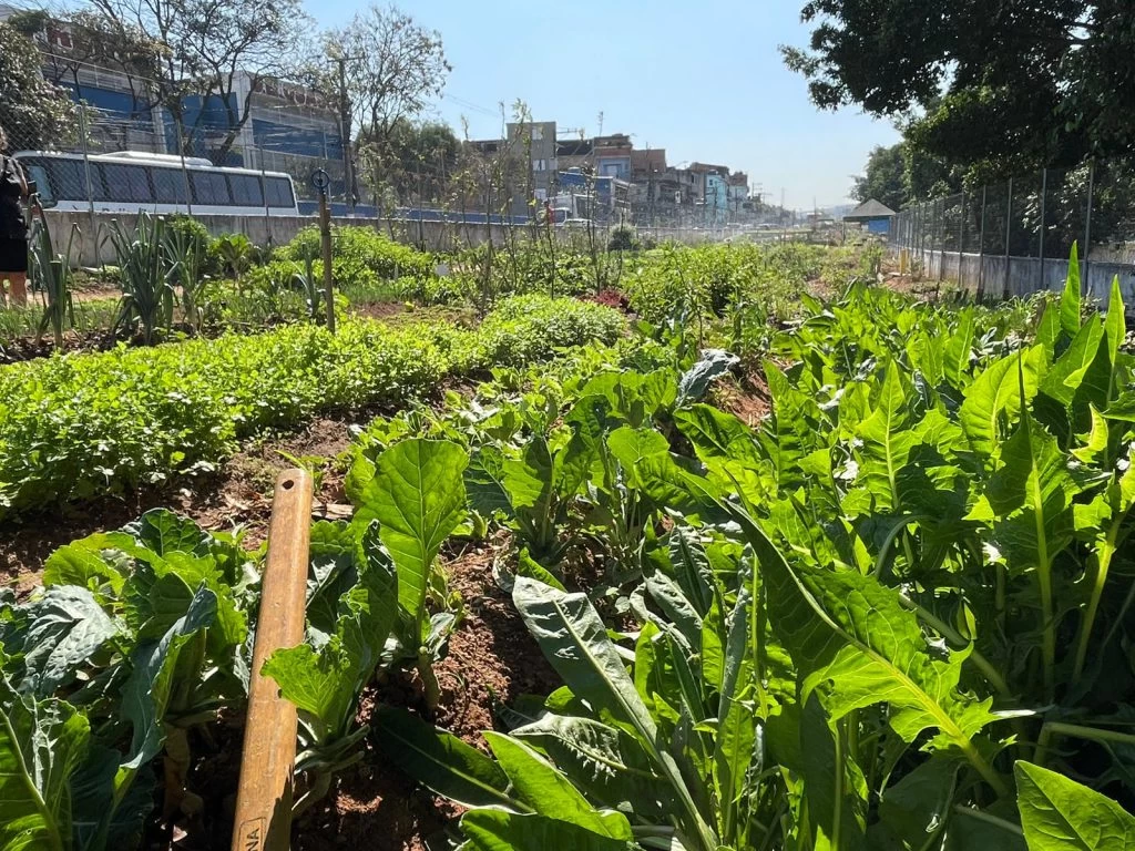 Sorocaba participa de capacitação nacional em agricultura urbana
