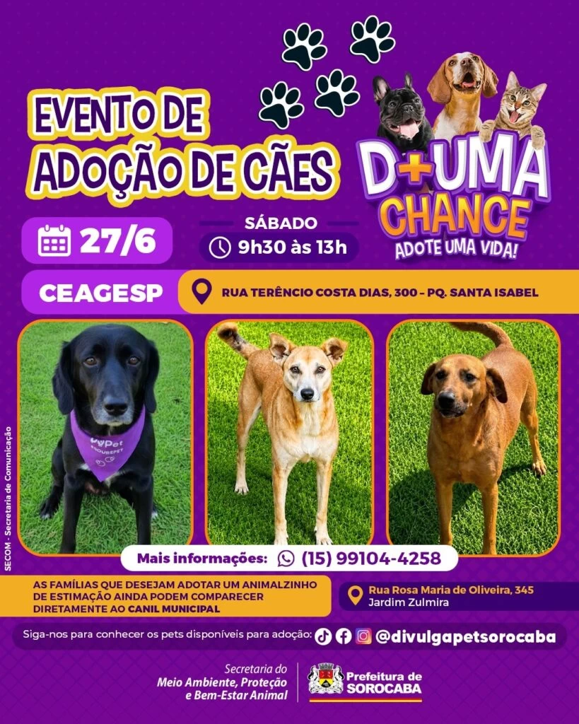 CEAGESP recebe evento de adoção de cães do Canil Municipal de Sorocaba neste sábado (27)