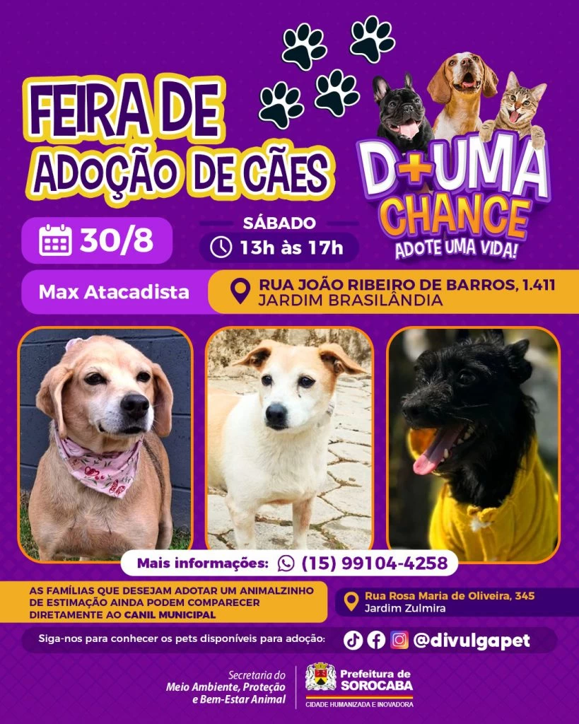 Prefeitura de Sorocaba promove dia de adoção de cães no Jardim Brasilândia neste sábado (30)