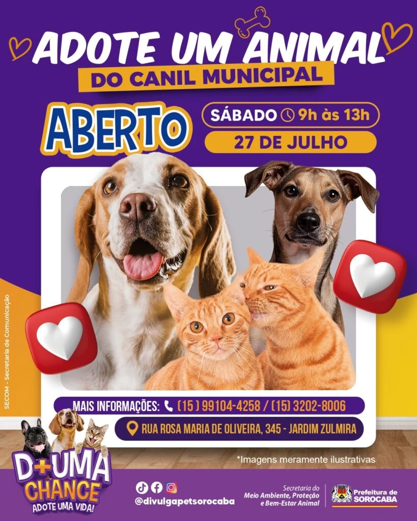 Canil Municipal de Sorocaba é aberto para adoção responsável de cães e gatos neste sábado (27)