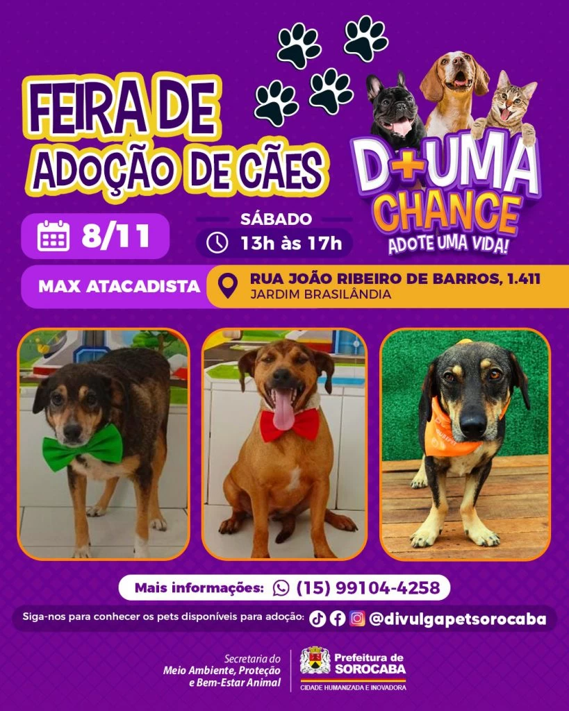 Prefeitura de Sorocaba promove dia de adoção de cães no Jardim Brasilândia neste sábado (8)