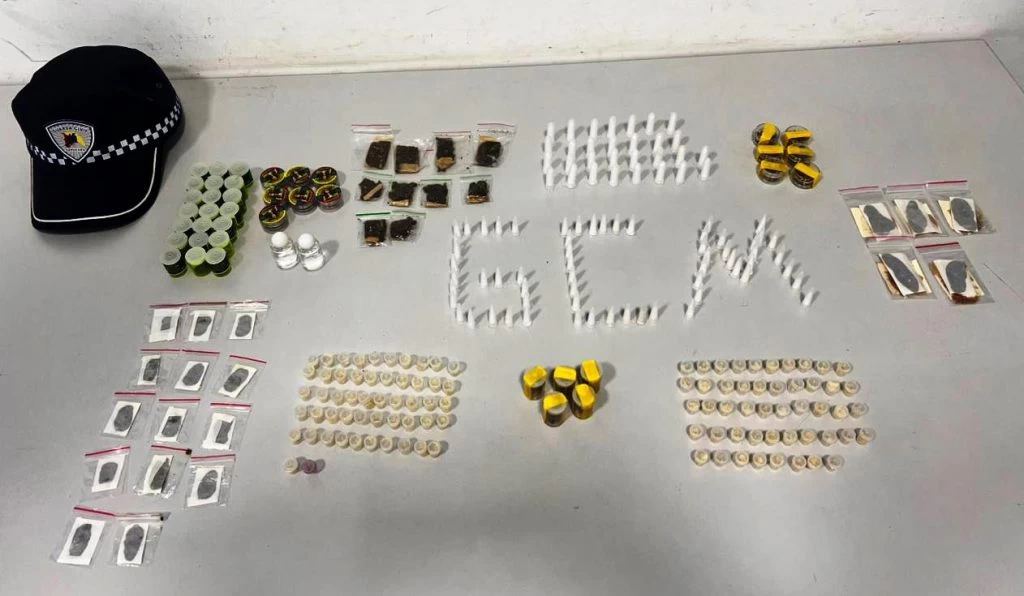 GCM apreende 262 porções de drogas no Parque São Bento