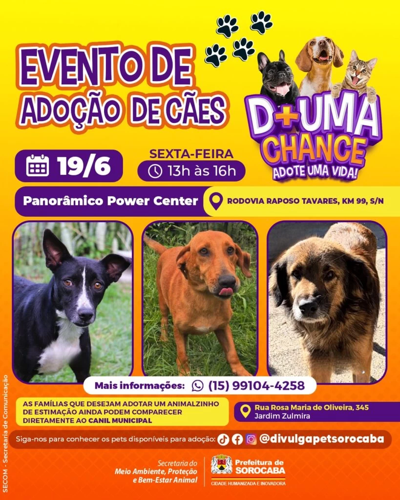 Panorâmico Power Center recebe evento de adoção de cães do Canil Municipal de Sorocaba nesta sexta-feira (19)