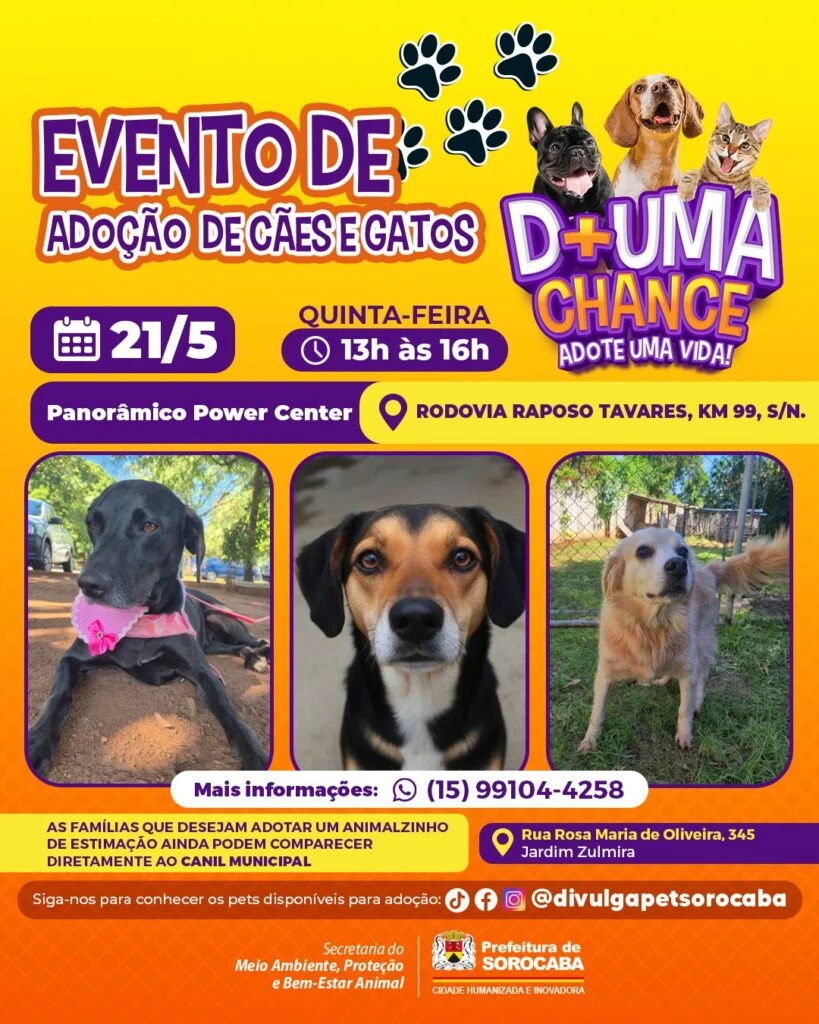 Panorâmico Power Center recebe evento de adoção de cães do Canil Municipal de Sorocaba nesta quinta-feira (21)