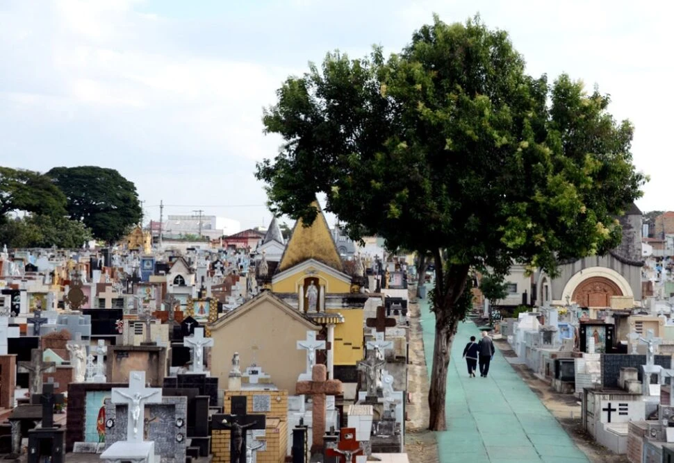Prefeitura define operação especial de trânsito e transporte público para o feriado de Finados
