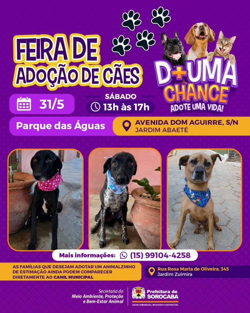 Feira de adoção de cães acontece neste sábado (31) no Parque das Águas