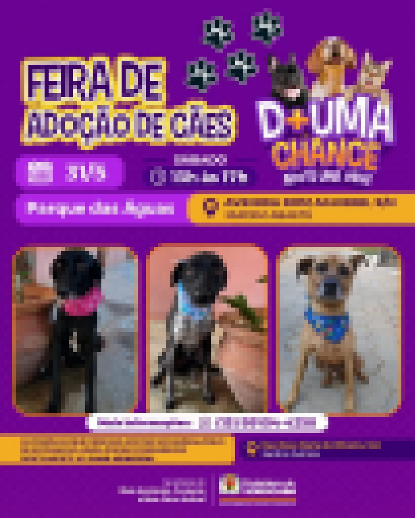 Feira de adoção de cães acontece neste sábado (31) no Parque das Águas