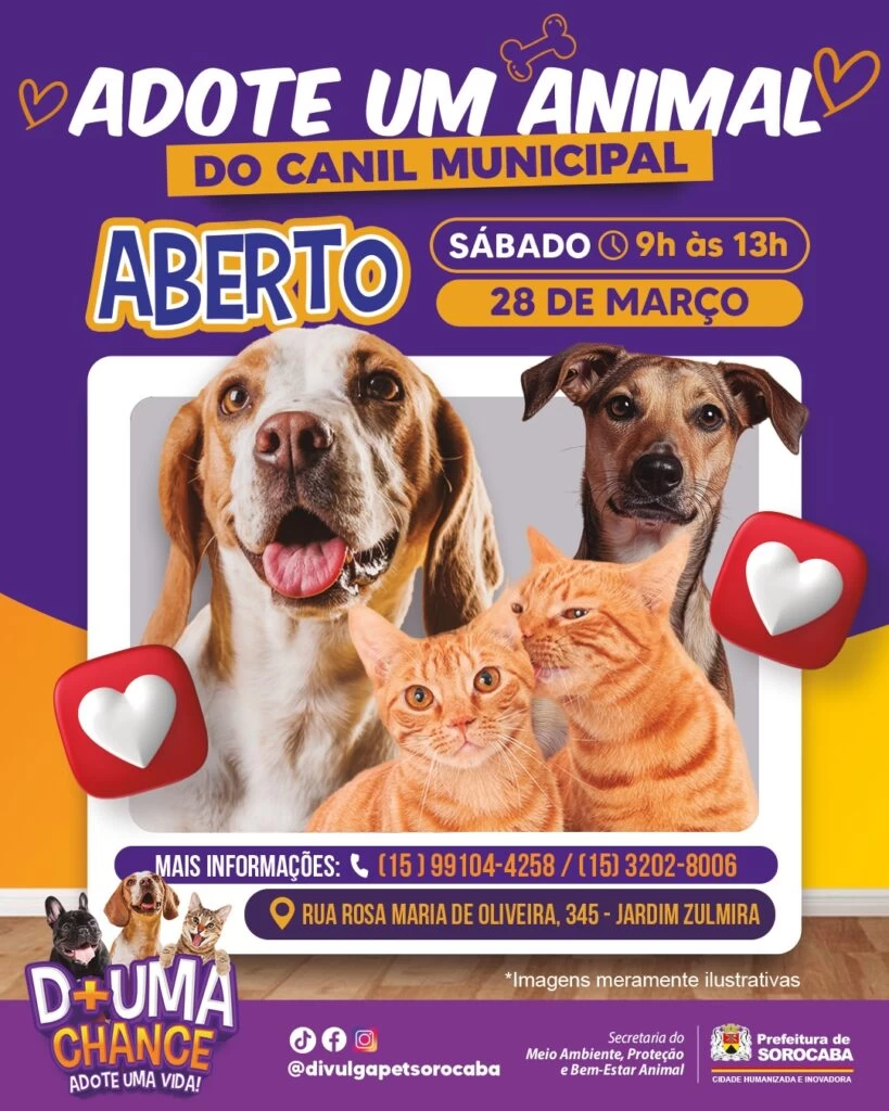 Canil Municipal de Sorocaba estará de portas abertas para adoção responsável de cães e gatos no dia 28 de março