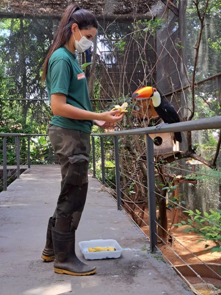 Zoológico de Sorocaba tem programação especial de férias neste mês de julho