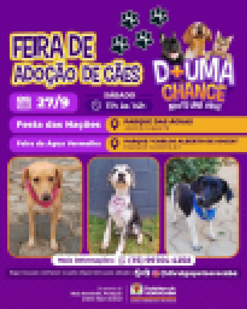 Feira de adoção de cães do Canil Municipal ocorrerá em dois locais simultâneos na cidade