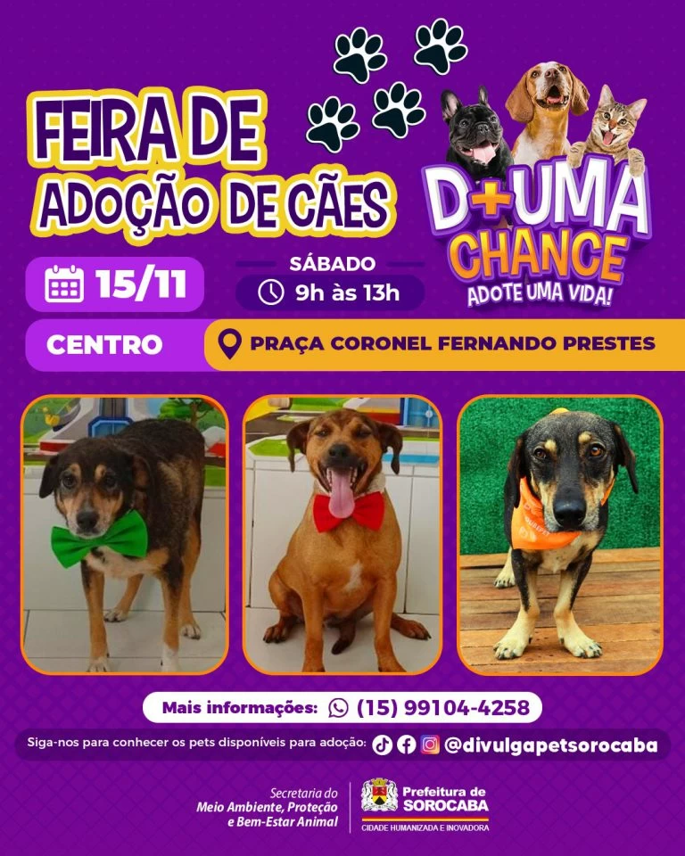 Feira de adoção de cães do Canil Municipal ocorrerá na Praça Coronel Fernando Prestes neste sábado (15)