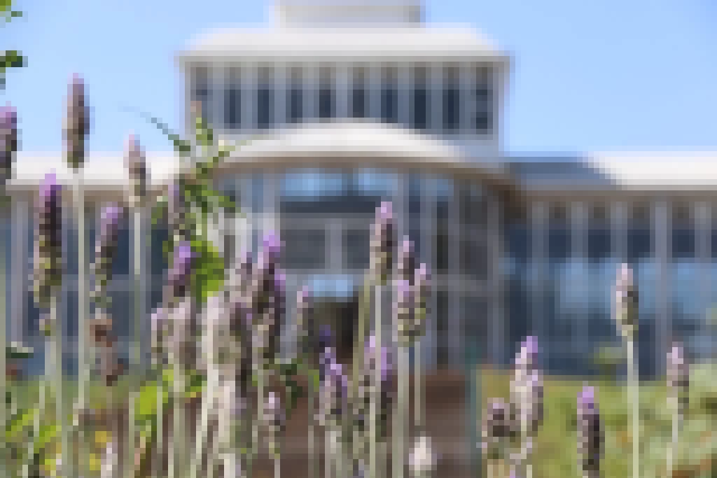 Oficina gratuita de arranjos de flores e folhagens é oferecida no Jardim Botânico de Sorocaba nesta quarta-feira (21)