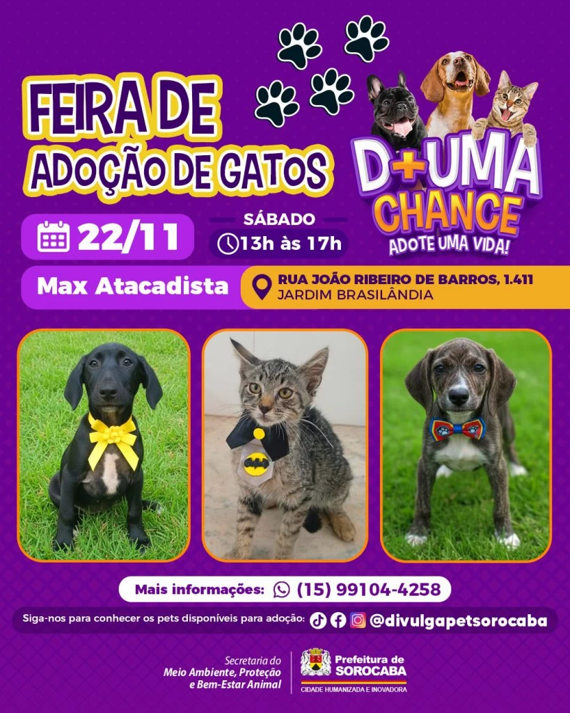 Prefeitura de Sorocaba promove dia de adoção de cães e gatos no Jardim Brasilândia neste sábado (22)
