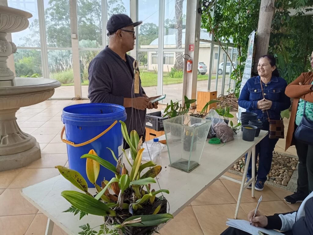 Oficina no Jardim Botânico de Sorocaba ensina como cultivar orquídeas