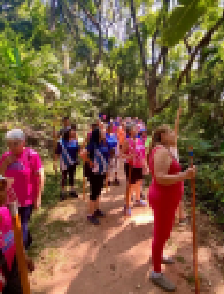 Programa “Caminha Sorocaba” leva grupos ao Parque da Biquinha