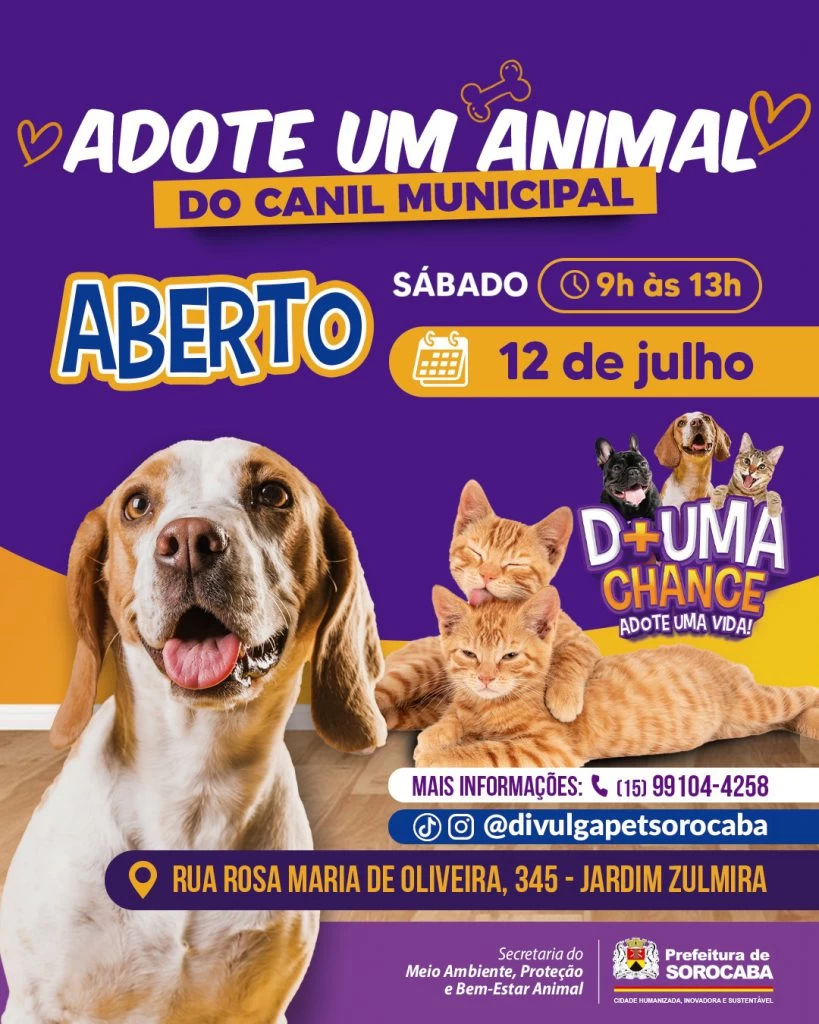 Canil Municipal de Sorocaba estará de portas abertas para adoção responsável de cães e gatos neste sábado (12)