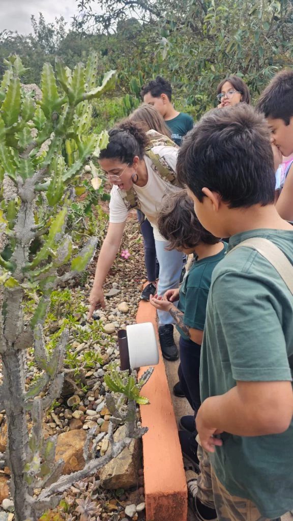 Consulta pública on-line quer ouvir população sobre o papel educativo do Jardim Botânico de Sorocaba