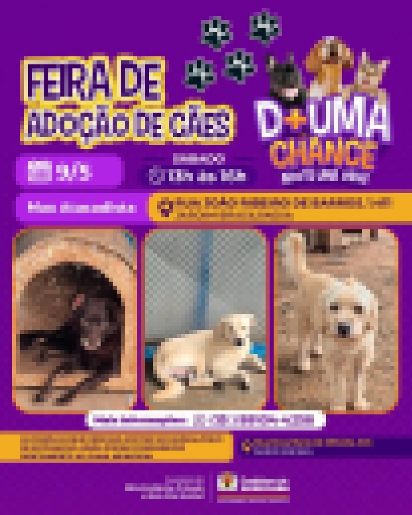 Feira de adoção de cães e gatos acontece no Max Atacadista Zona Norte nesta sexta (9)