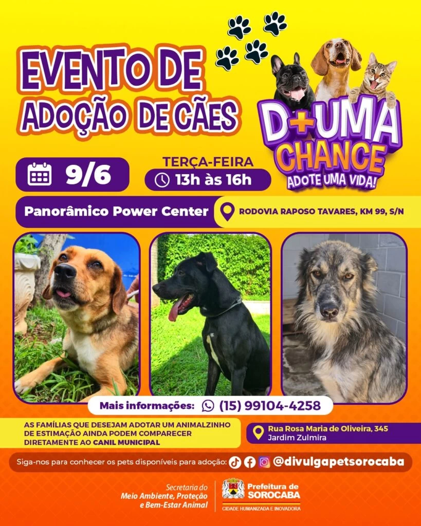 Panorâmico Power Center recebe evento de adoção de cães do Canil Municipal de Sorocaba nesta terça-feira (9)