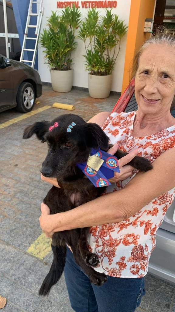 Cachorrinha resgatada de maus-tratos ganha um lar em Sorocaba