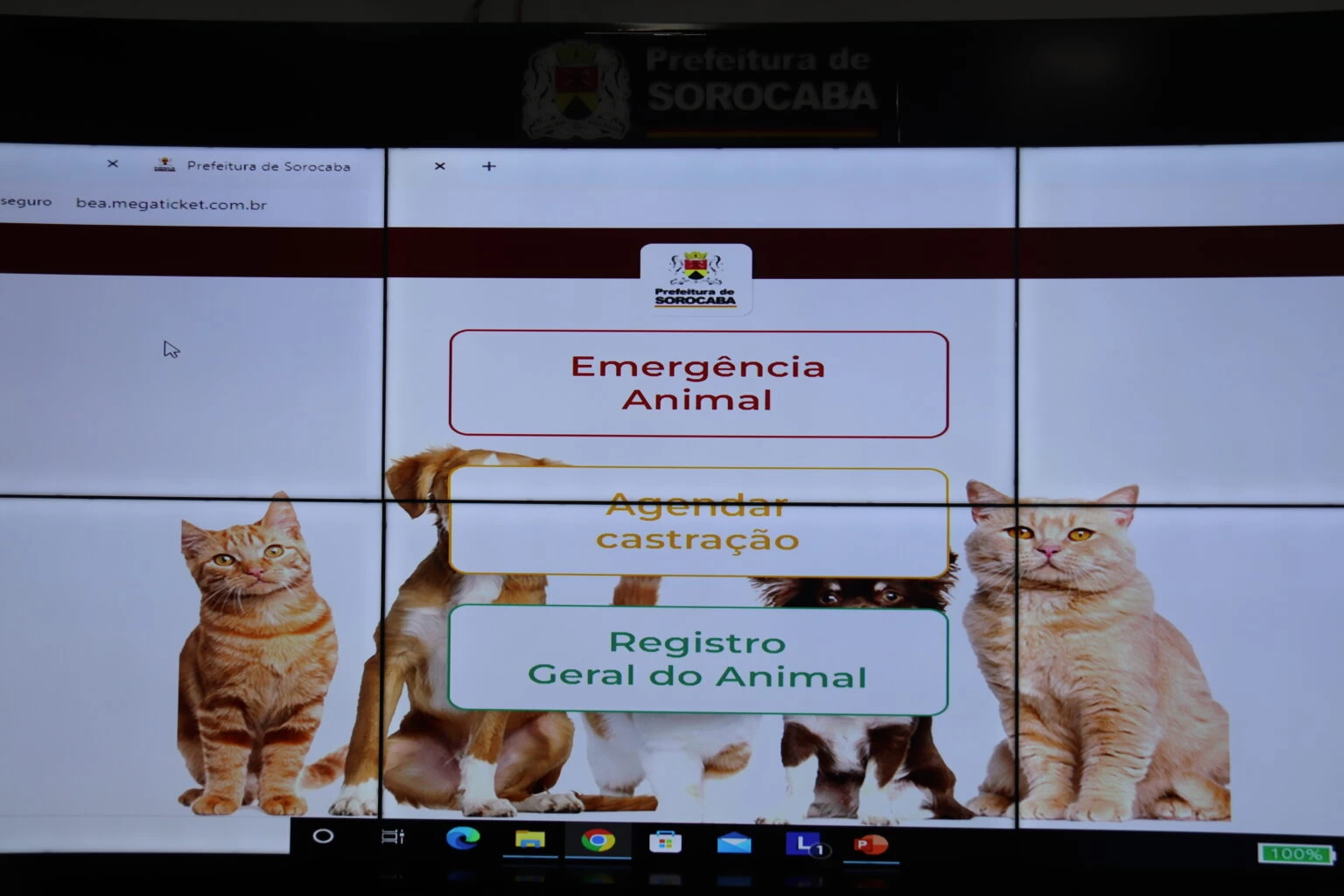 Prefeitura de Sorocaba lança sistema on-line voltado ao bem-estar animal