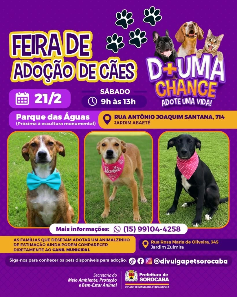 Parque das Águas recebe a feira de adoção de cães do Canil Municipal neste sábado (21)