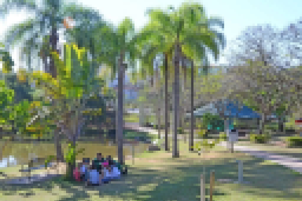 Curso de férias do Parque da Água Vermelha recebe inscrições a partir desta quarta-feira (8)