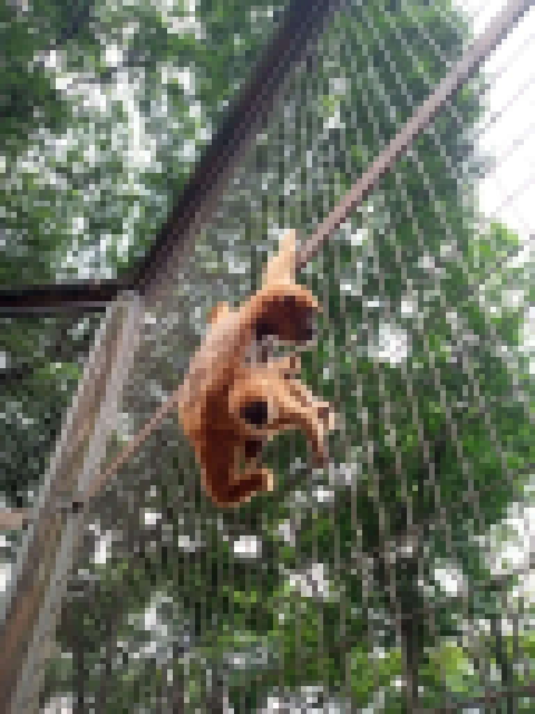 Zoológico Municipal de Sorocaba abre agendamento para visitas guiadas a escolas e instituições neste segundo semestre