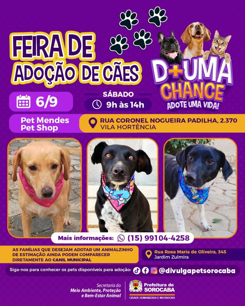 Feira de adoção de cães do Canil Municipal ocorrerá na Vila Hortência neste sábado (6)