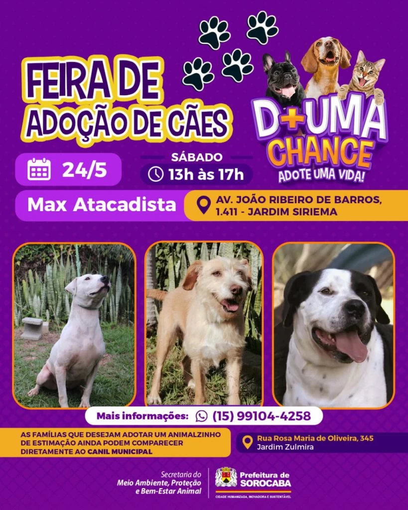 Vem aí mais uma edição da feira de adoção da Prefeitura de Sorocaba neste sábado (24)