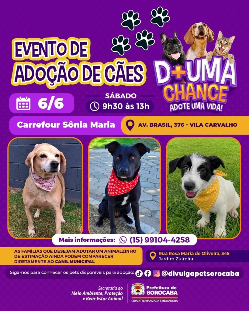 Evento de adoção de cães do Canil Municipal de Sorocaba acontecerá no Carrefour Sônia Maria neste sábado (6)