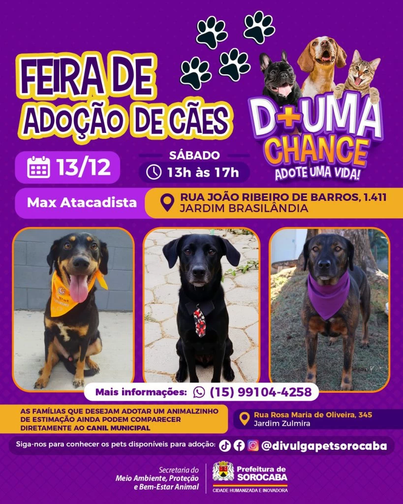 Prefeitura de Sorocaba promove dia de adoção de cães no Jardim Brasilândia neste sábado (13)