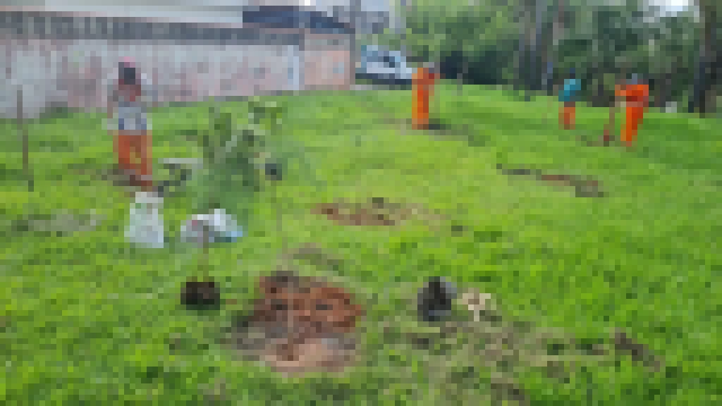 Requalificação viária no Jardim Magnólia recebe plantio de 200 mudas de árvores nativas em áreas verdes